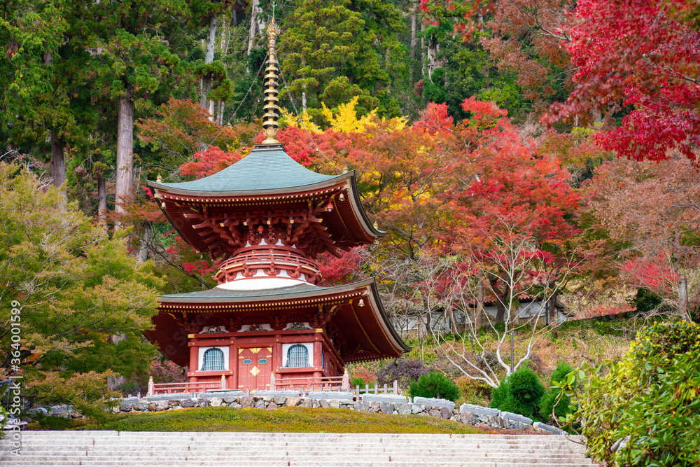 紅葉の勝尾寺 紅葉の勝尾寺