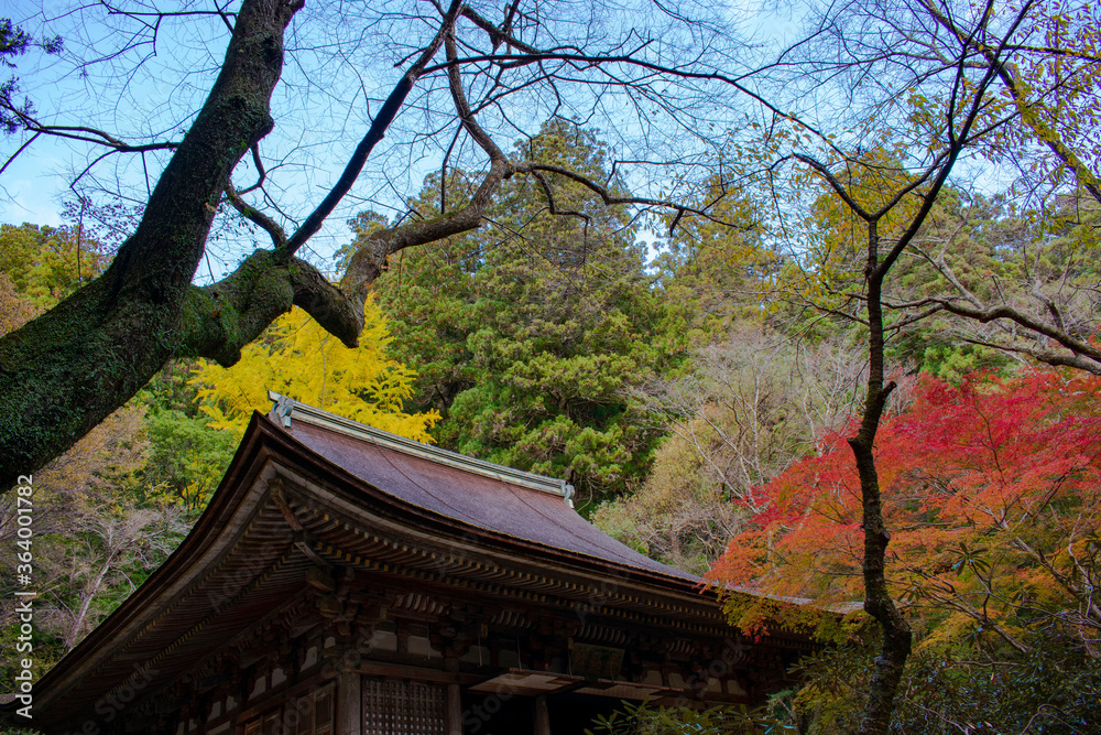 紅葉の室生寺