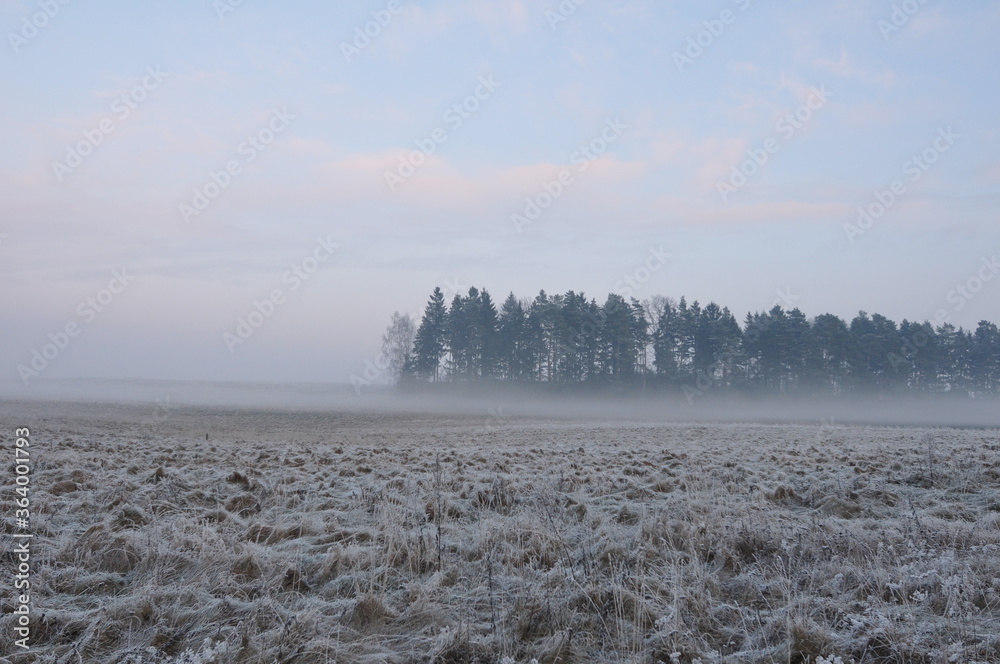 Obraz premium Polska - Mazury - Warmia. Zima.