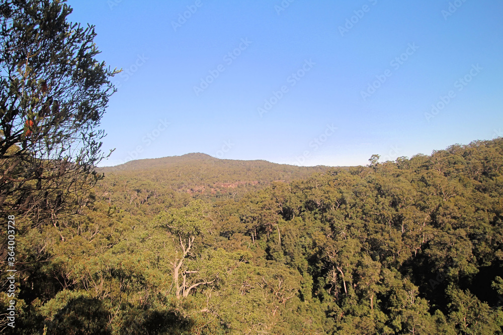 View of Brisbane Water National Park From Piles Creek