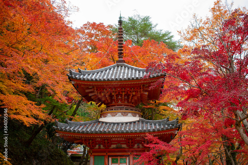 大威徳寺の紅葉