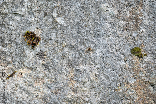 Textured gray rock as a nature background 