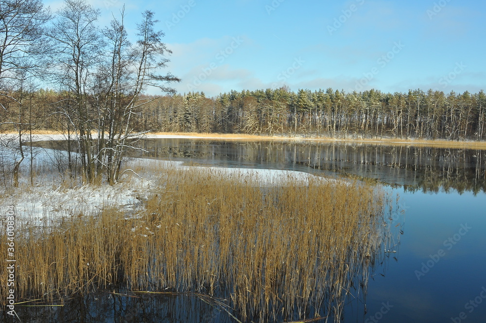 Las i woda. Zima. Polska - Mazury - Warmia.