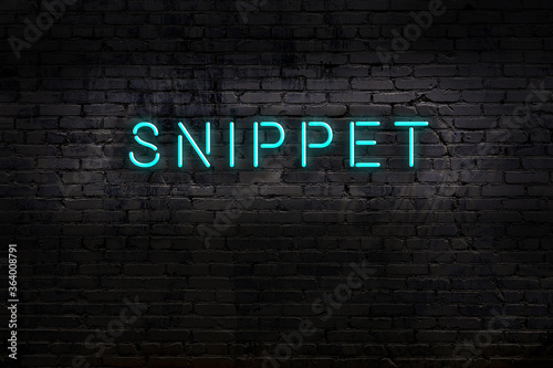 Night view of neon sign on brick wall with inscription snippet