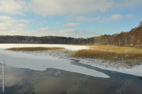 Zima. Zamar  ni  te jezioro. Trzciny. Polska - Mazury - Warmia.