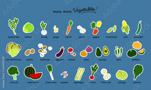 いろんな野菜のカラーイラストアイコンセット【白フチ】