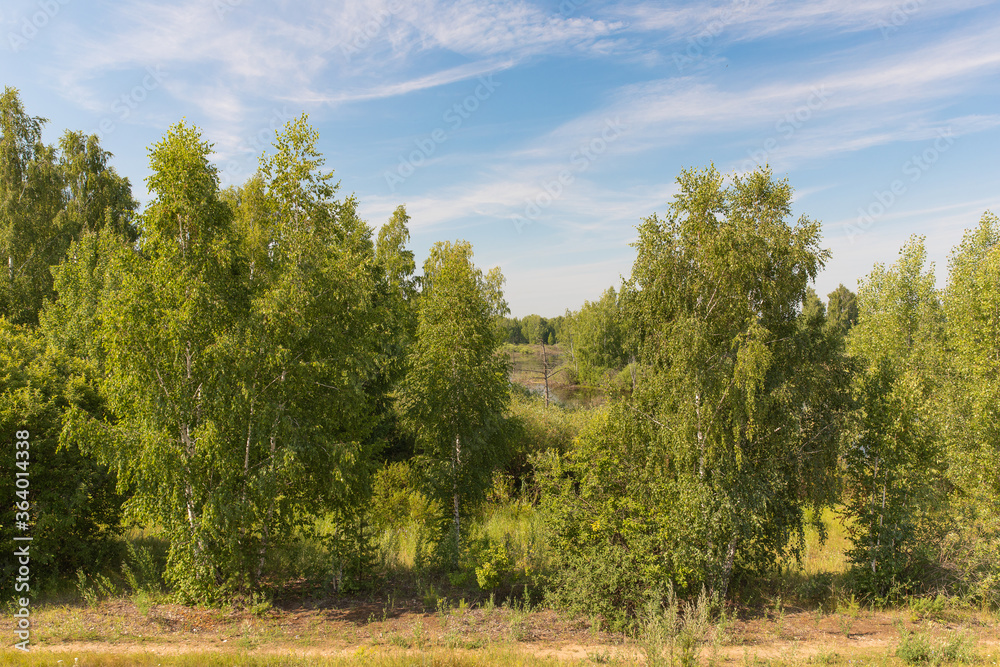 A picturesque lake on a Sunny summer day, the banks are covered with forest and shrubs. A picturesque lake on a Sunny summer day, the banks are covered with forest and shrubs.