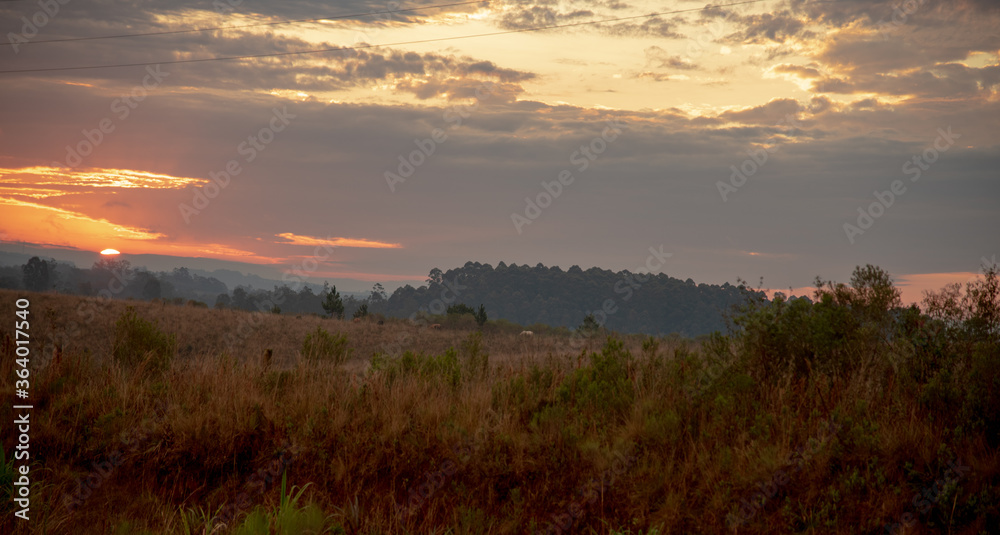 Sunset in the fields of the Latin American Pampa Biome