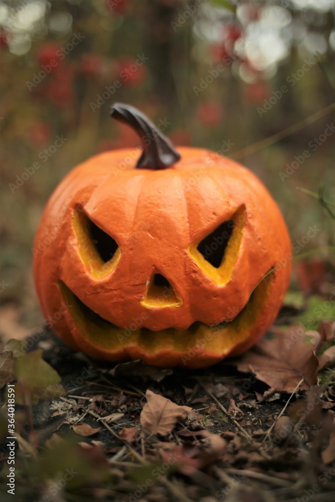 Halloween holiday symbol. Pumpkin Jack Glowing in physalis and brown dried leaves on autumn blurred garden background.Symbol of the autumn holiday. Holidays in October. Halloween holiday symbol. Pumpkin Jack Glowing in physalis and brown dried leaves on autumn blurred garden background.Symbol of the autumn holiday. Holidays in October.