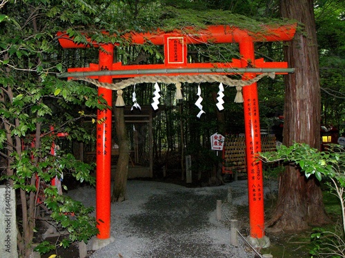 Fuskimi Inari Taisha Temple. Kyoto  Japan