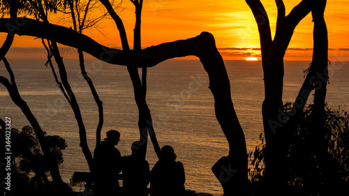 Sunset at La Jolla city with Christmas light photo