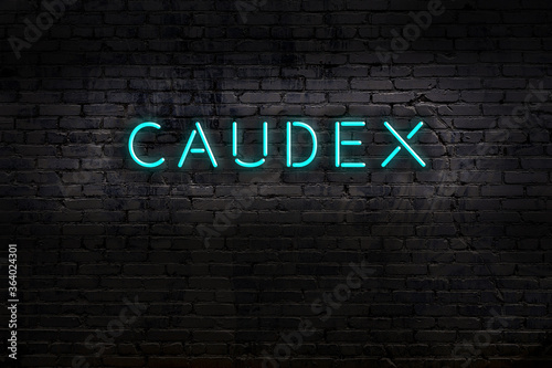 Night view of neon sign on brick wall with inscription caudex photo