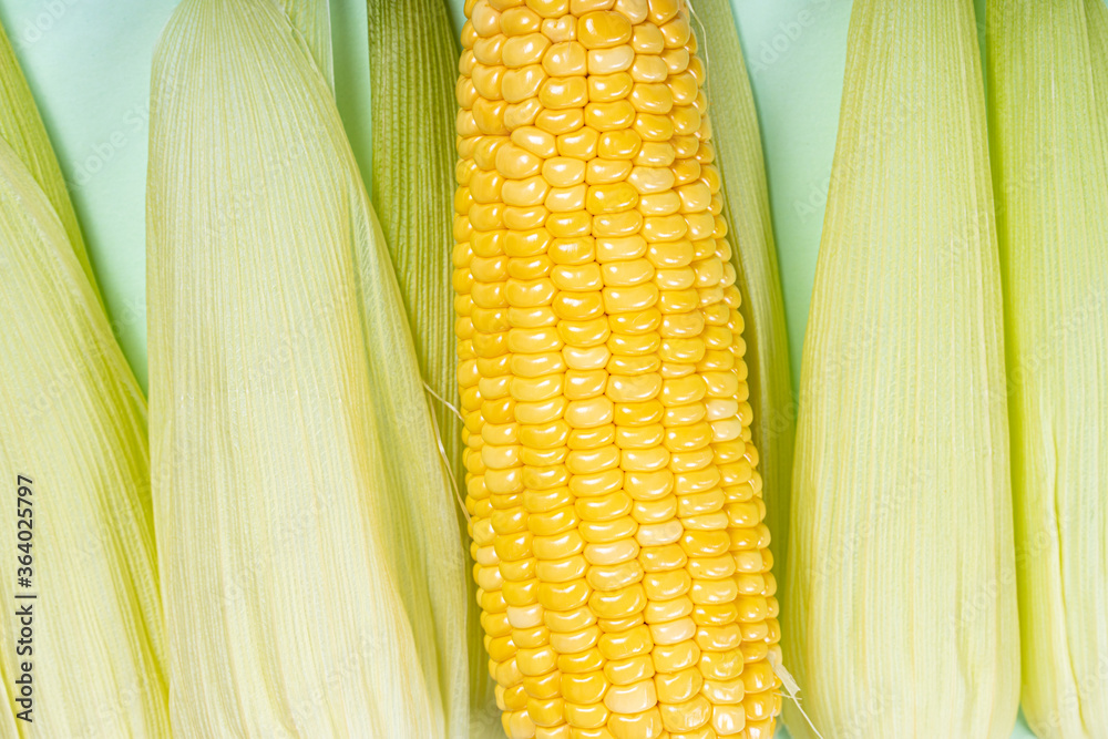 corn on the cob
