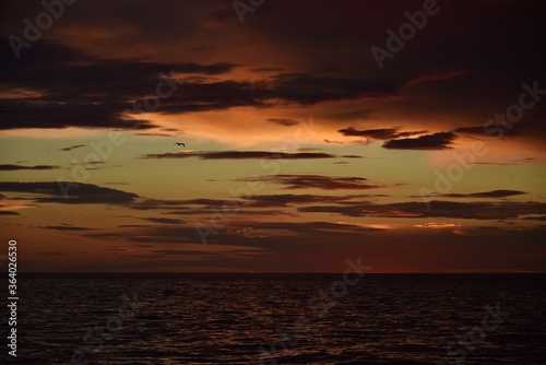 Autumn red sunset over the cold polar sea. Red clouds  illuminated by the cold sun  over the horizon. Photo from the side of the ship.