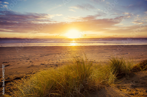 Dunes on ocean coast