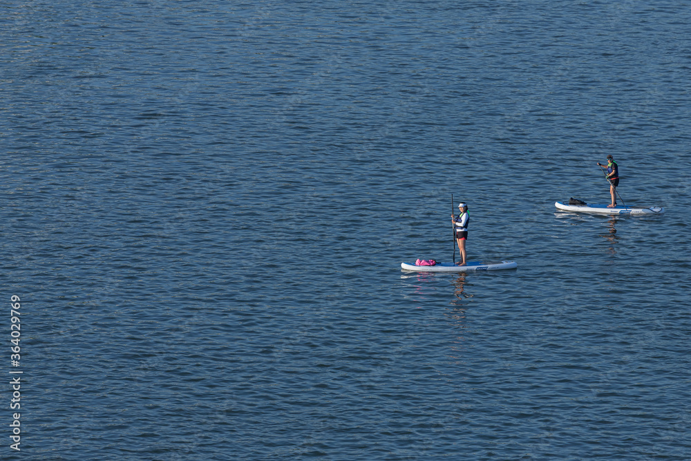 Novosibirsk/ Russia – June 27  2020: Two women athletes with oars swim on surfboards along the river on a sunny day.  Paddleboarding