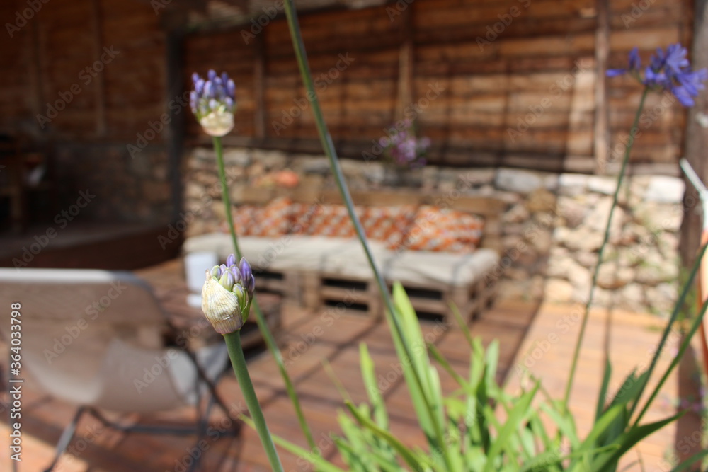 Fotografie salon d'été de jardin