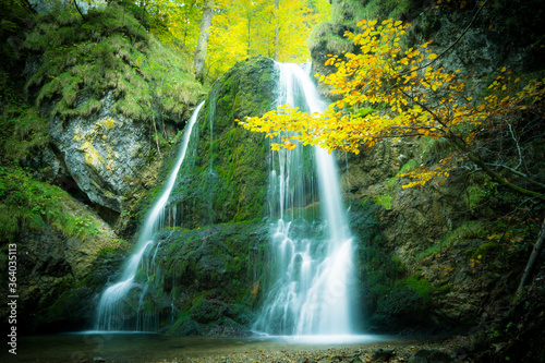 beautiful autumn forest waterfall in the morning