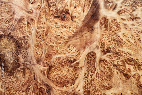 Nature Leza burl wood striped for art background