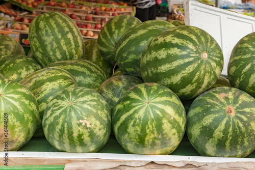 Green Water mellon bunch