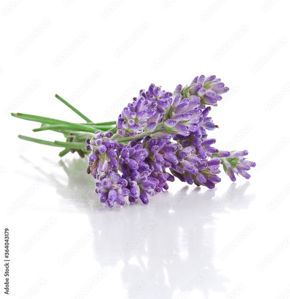 Bouquet of lavender flowers isolated on a white background. Bouquet of lavender flowers isolated on a white background.