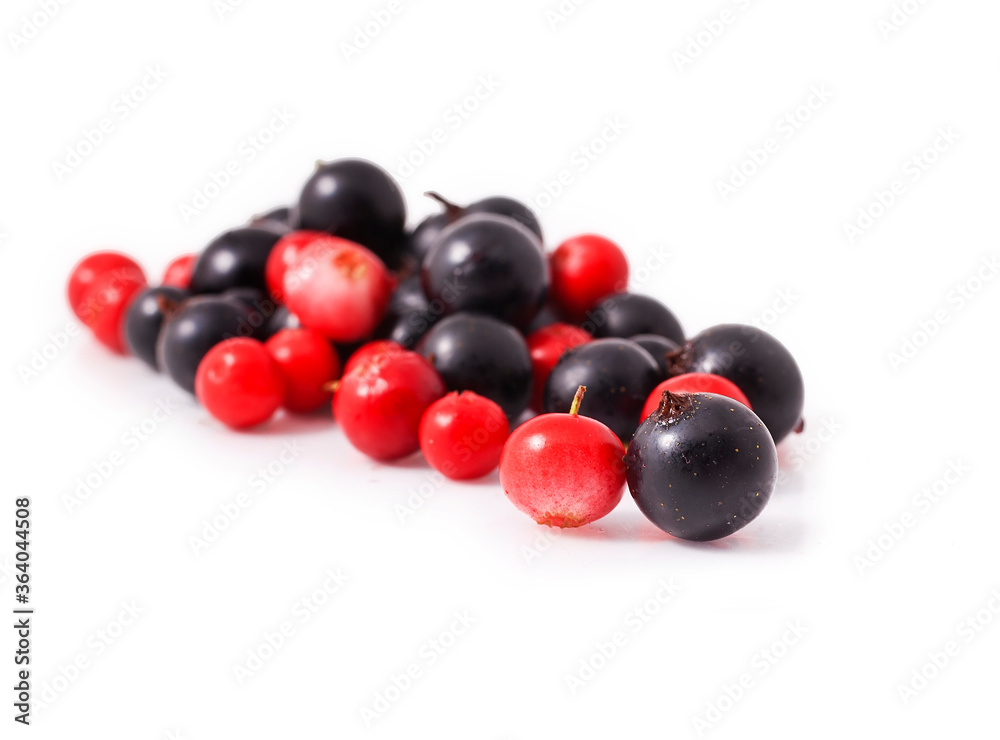Black currant and cowberry isolated on a white background. Black currant and cowberry isolated on a white background.