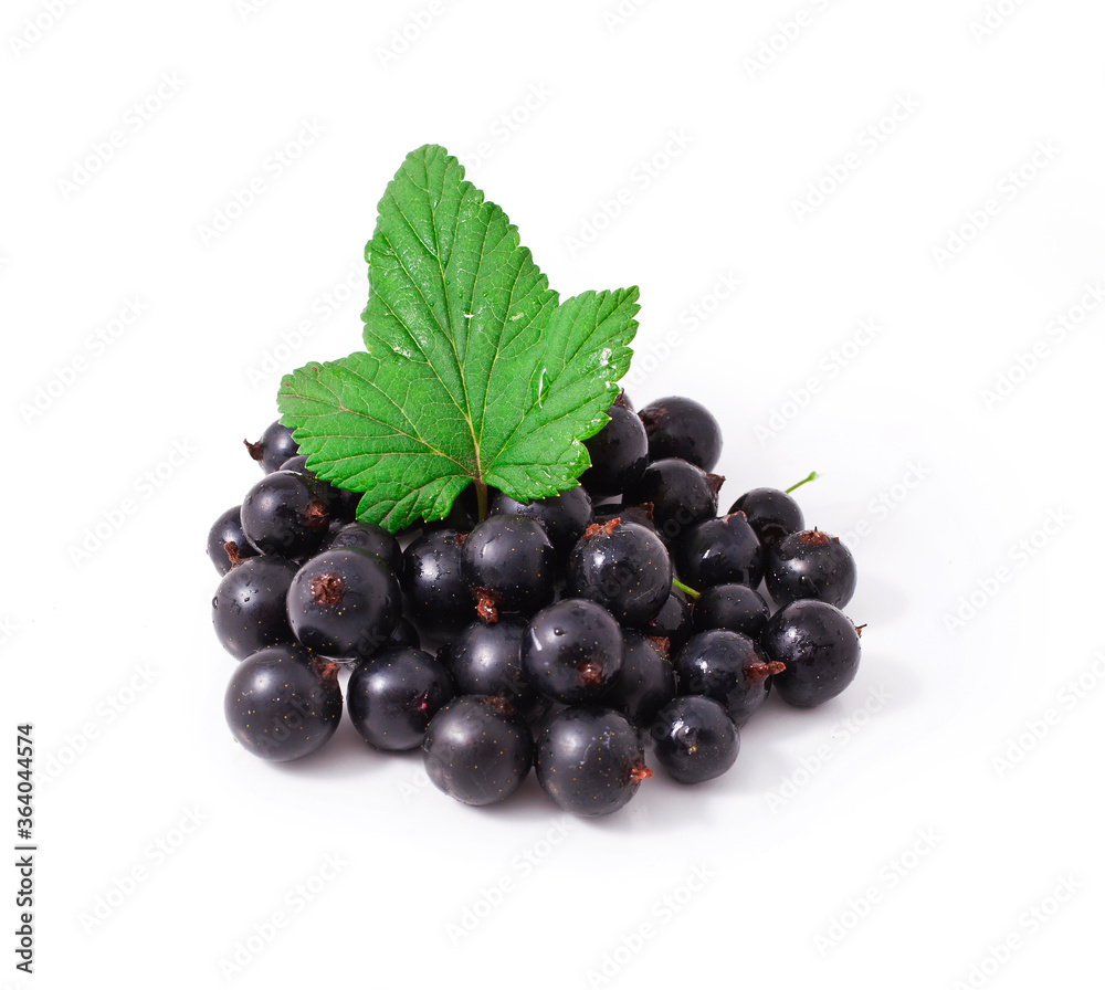 Fresh black currant isolated on a white background. Fresh black currant isolated on a white background.