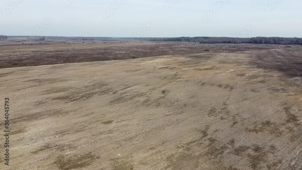 Agricultural land, aerial view. Landscape. Arable fields in the spring.