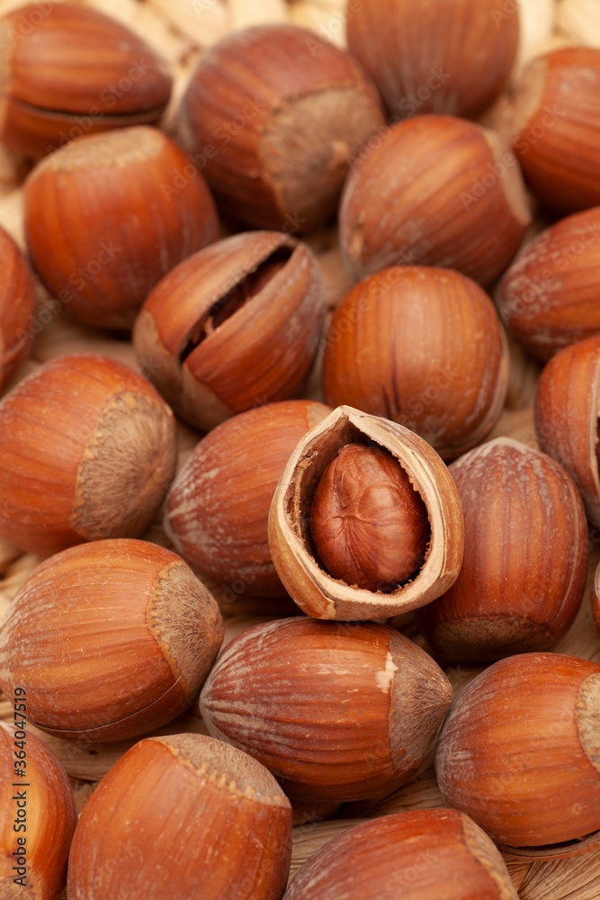 hazelnuts on a wooden table hazelnuts on a wooden table