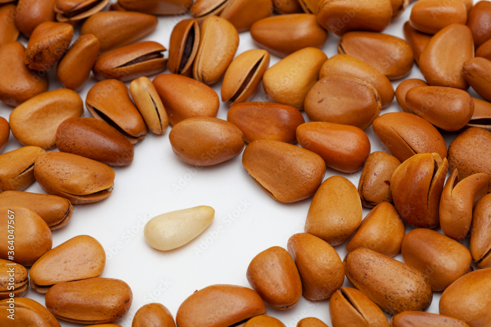 pine nut on white background pine nut on white background