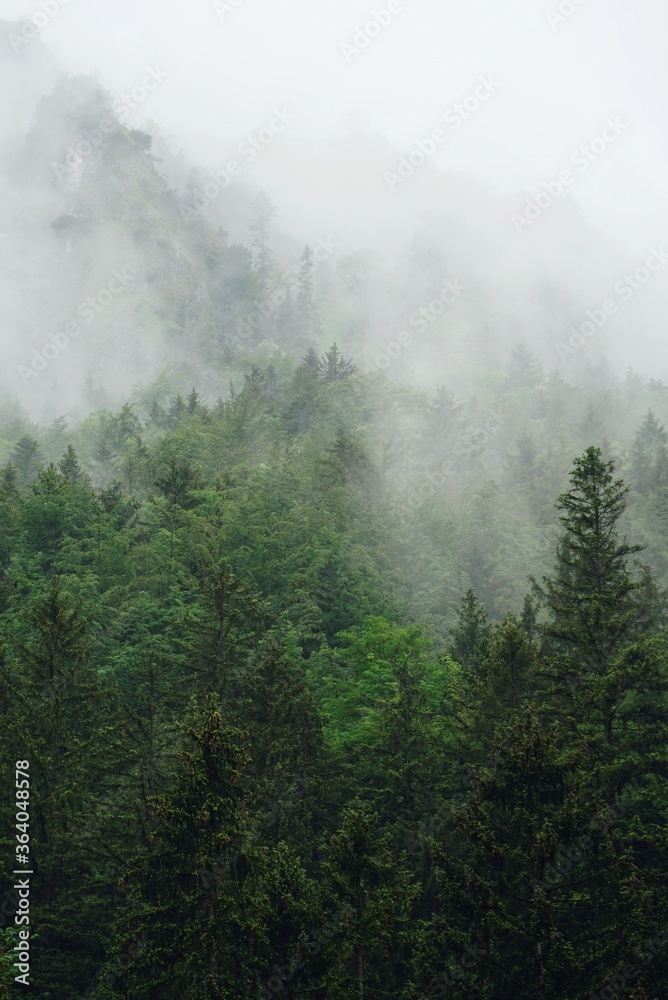 Nebel in den Bergen | Alpen | Bayern