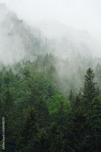 Nebel in den Bergen | Alpen | Bayern © franziskahoppe