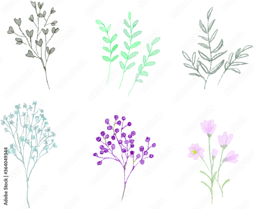 植物の水彩イラストのモチーフ