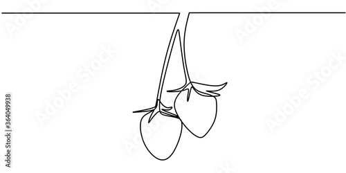 Continuous line strawberry ...