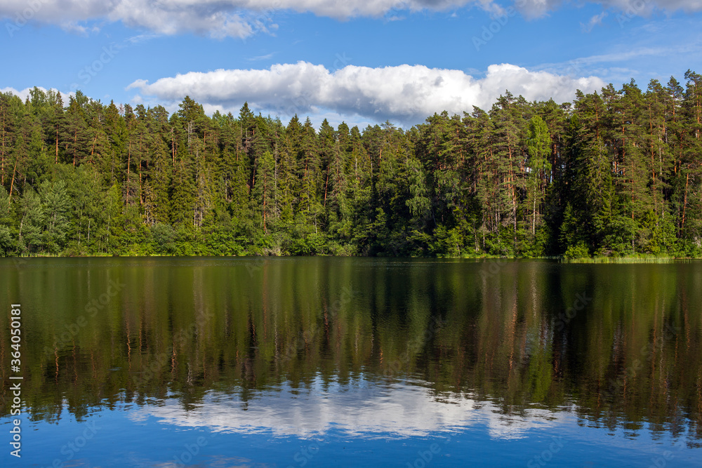 Reflection of clouds in a forest lake on a sunny day, Estonia