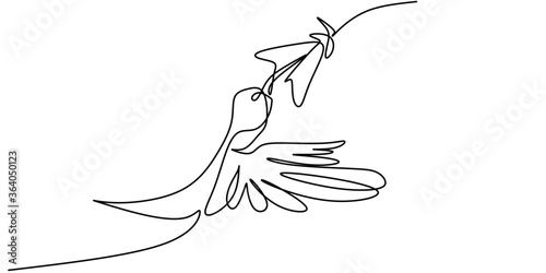 Continuous one line drawing of hummingbird minimalism drawing. Flying bird on flowers isolated on a white background. Avian national zoo park concept. Humming bird isolated vector illustration