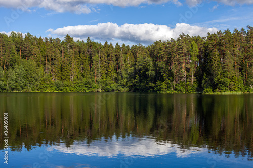 Reflection of clouds in a forest lake on a sunny day, Estonia