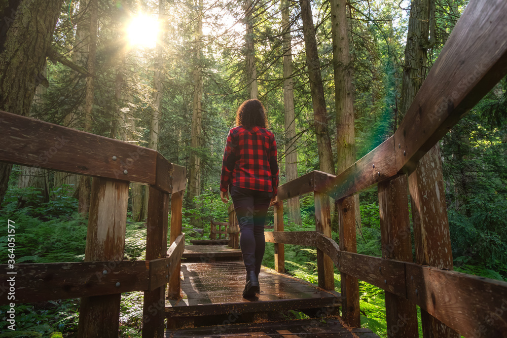 Adventure Girl Walking on a Wooden Pathway in the Rain Forest during a vibrant sunny day. Taken on Giant Cedars Boardwalk Trail in Mt Revelstoke National Park, British Columbia, Canada. Adventure Girl Walking on a Wooden Pathway in the Rain Forest during a vibrant sunny day. Taken on Giant Cedars Boardwalk Trail in Mt Revelstoke National Park, British Columbia, Canada.