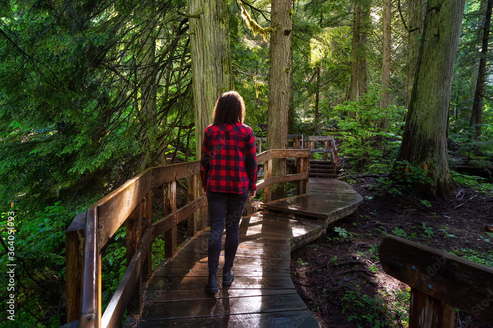 Adventure Girl Walking on a Wooden Pathway in the Rain Forest during a vibrant sunny day. Taken on Giant Cedars Boardwalk Trail in Mt Revelstoke National Park, British Columbia, Canada. Adventure Girl Walking on a Wooden Pathway in the Rain Forest during a vibrant sunny day. Taken on Giant Cedars Boardwalk Trail in Mt Revelstoke National Park, British Columbia, Canada.