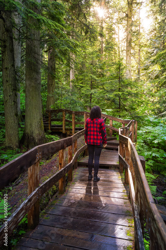 Adventure Girl Walking on a Wooden Pathway in the Rain Forest during a vibrant sunny day. Taken on Giant Cedars Boardwalk Trail in Mt Revelstoke National Park, British Columbia, Canada.