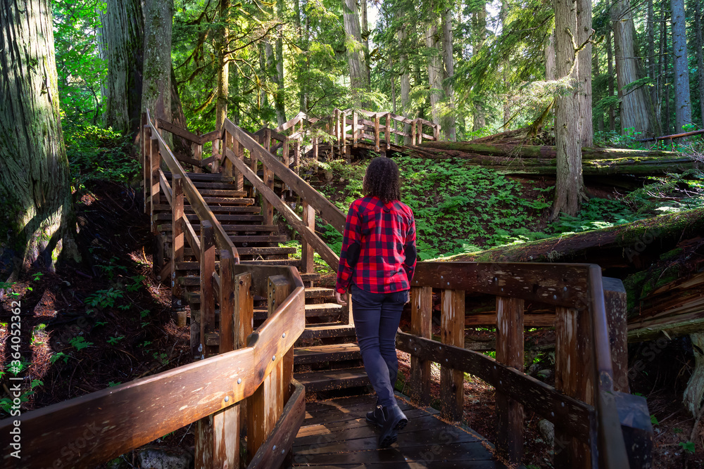 Adventure Girl Walking on a Wooden Pathway in the Rain Forest during a vibrant sunny day. Taken on Giant Cedars Boardwalk Trail in Mt Revelstoke National Park, British Columbia, Canada. Adventure Girl Walking on a Wooden Pathway in the Rain Forest during a vibrant sunny day. Taken on Giant Cedars Boardwalk Trail in Mt Revelstoke National Park, British Columbia, Canada.