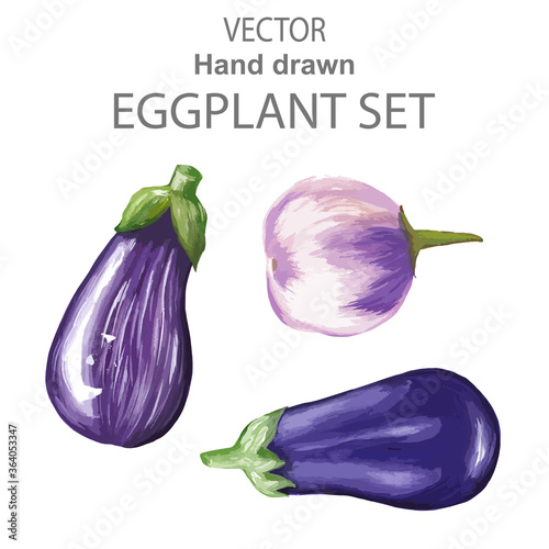 Vector set with purple whole eggplants drawn by hand and traced. Vector realistic baguettes