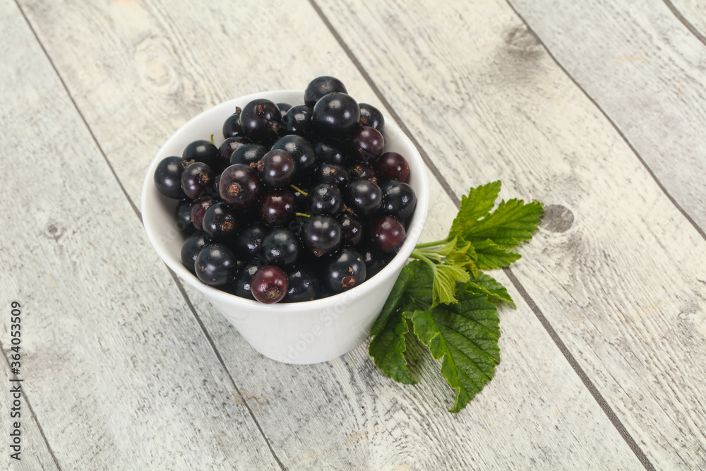 Fresh ripe sweet black currant Fresh ripe sweet black currant