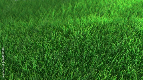 A lawn with short, bright grass.