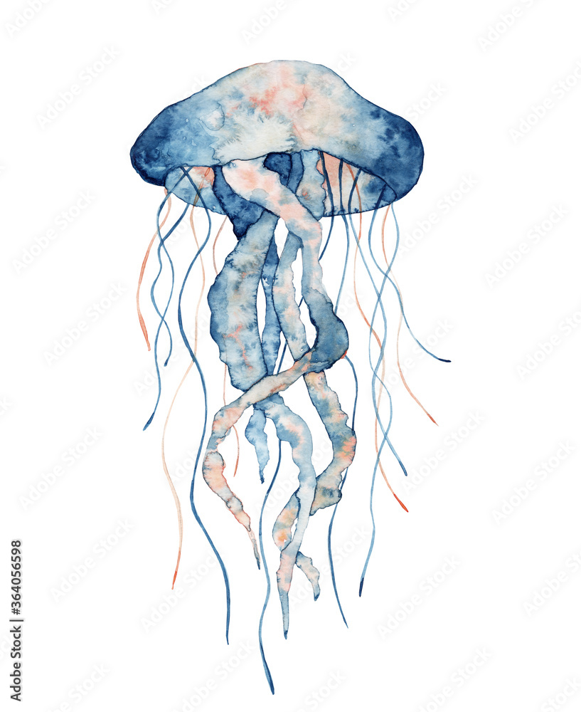© EvgeniiasArt - Jellyfish watercolor illustration. Painted medusa isolated on white background, underwater wildlife. © EvgeniiasArt - Jellyfish watercolor illustration. Painted medusa isolated on white background, underwater wildlife.