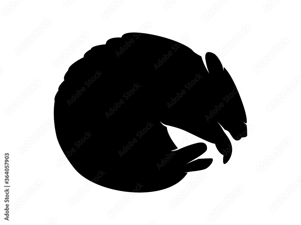 Vector Animal Silhouette Armadillo on White Background Vector Animal Silhouette Armadillo on White Background