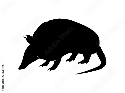 Vector Animal Silhouette Armadillo on White Background