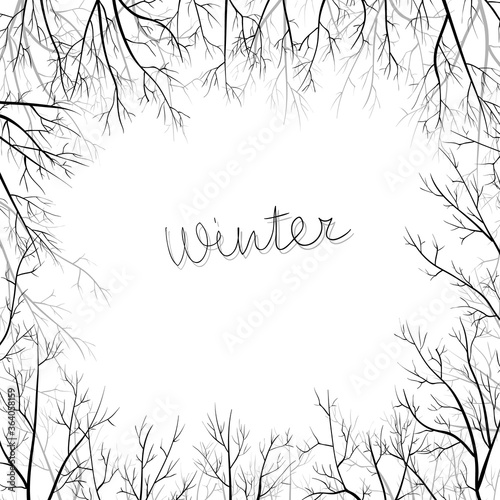 Winter background with hand drawn branches. Winter frame with branches on white. 