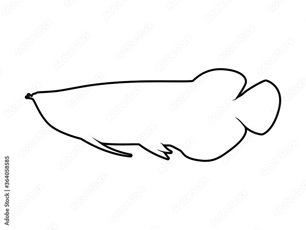 Isolated Animal Vector Arowana on White Background