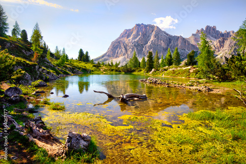 Lago di Limides in Dolomite Alps at summer day, Italy photo